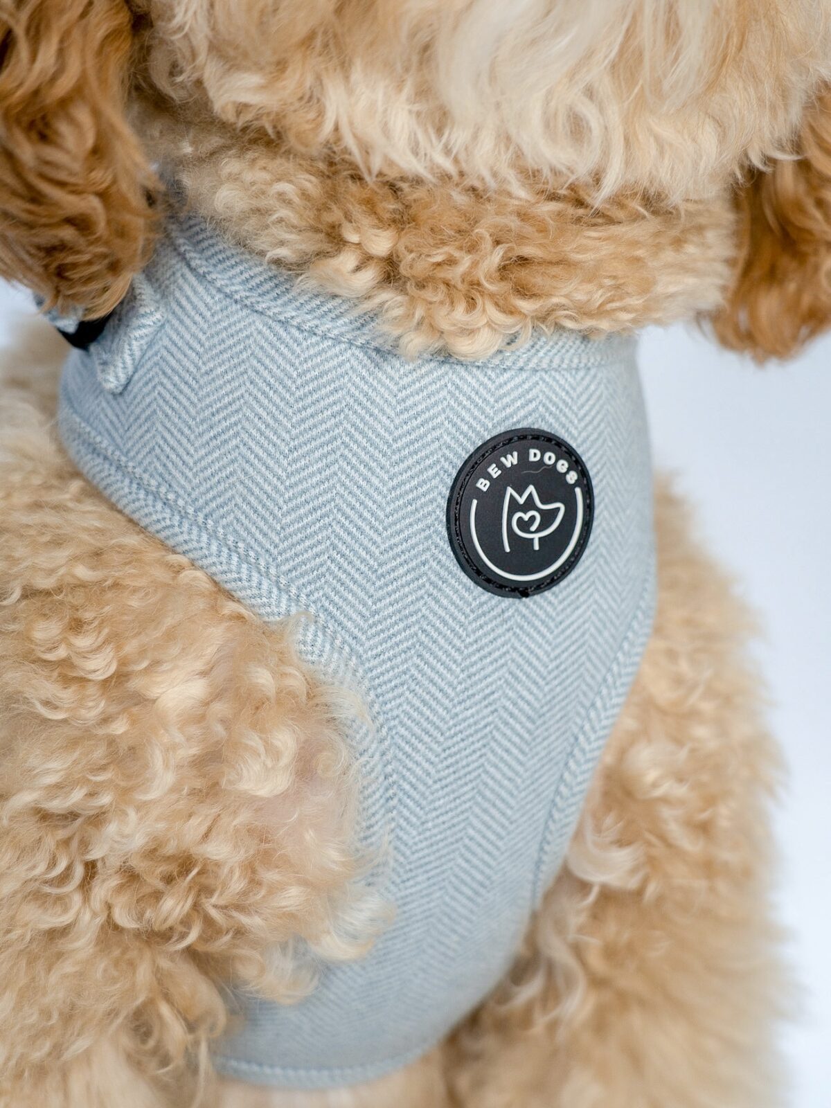 INSTANT WIN - £1 HARNESS COMP (Full set end prize) - Image 10