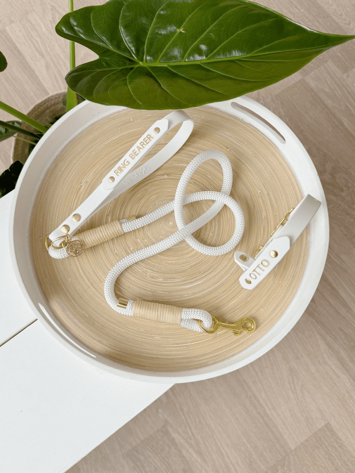 WIN A Custom My Pawchella Lead/Collar Set! - Image 4