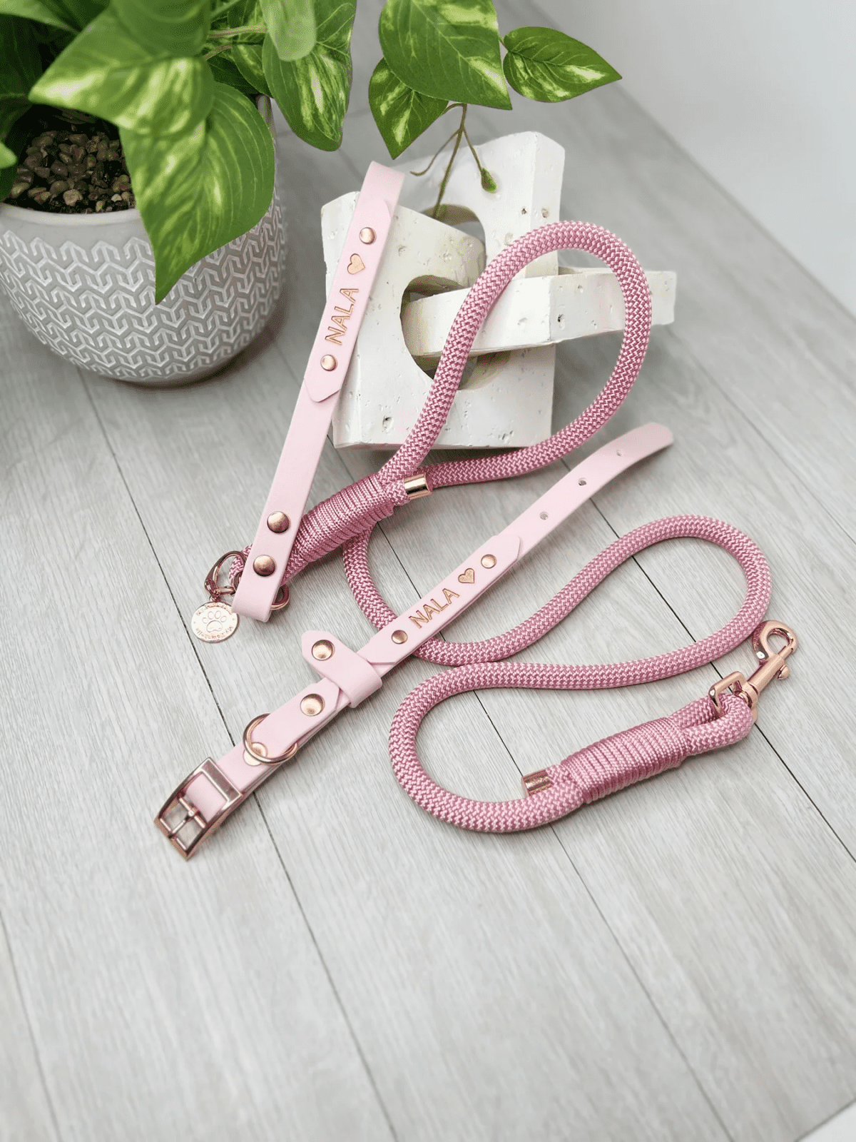 WIN A Custom My Pawchella Lead/Collar Set! - Image 6