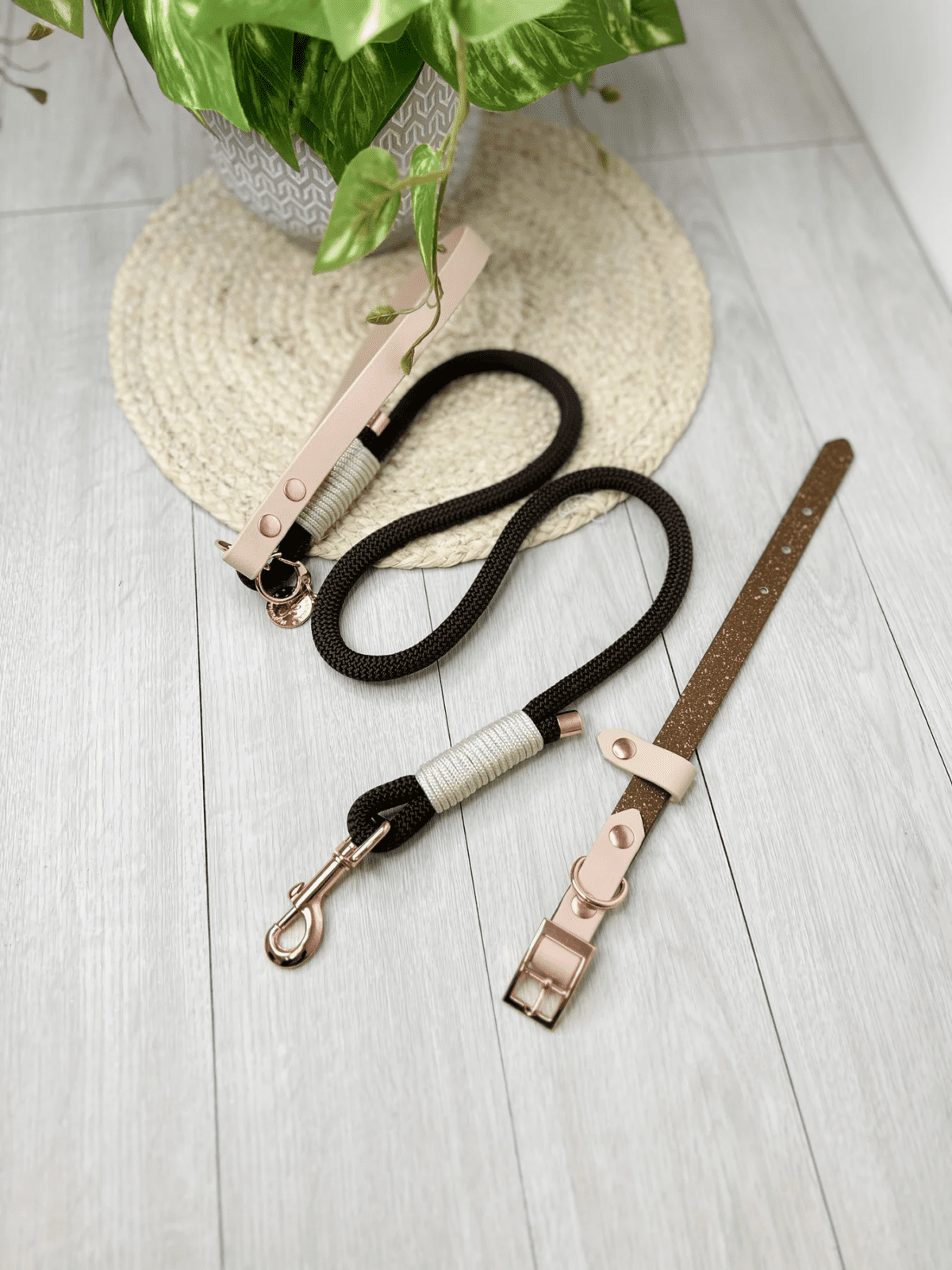 WIN A Custom My Pawchella Lead/Collar Set! - Image 7