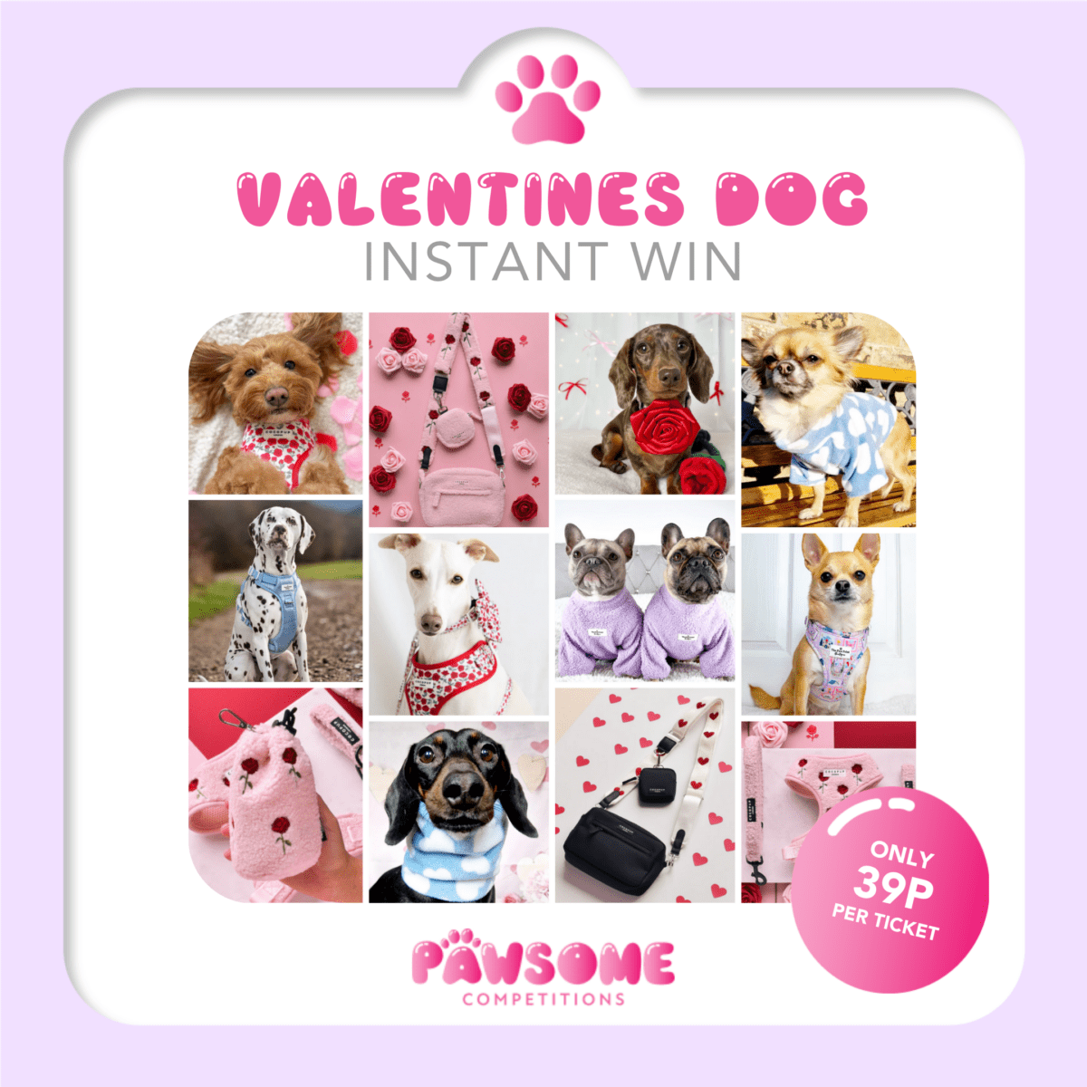 INSTANT WIN - DOG VALENTINES 💝