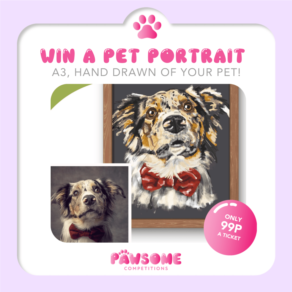 WIN An A3 Custom Pet Portrait