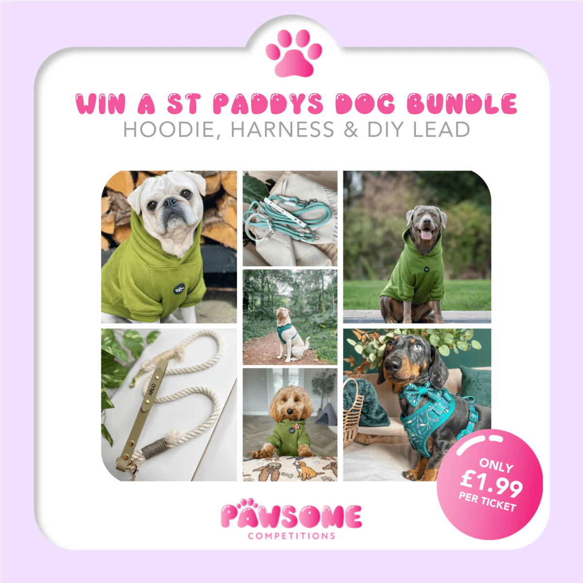 WIN A St Paddy's Day Dog Bundle