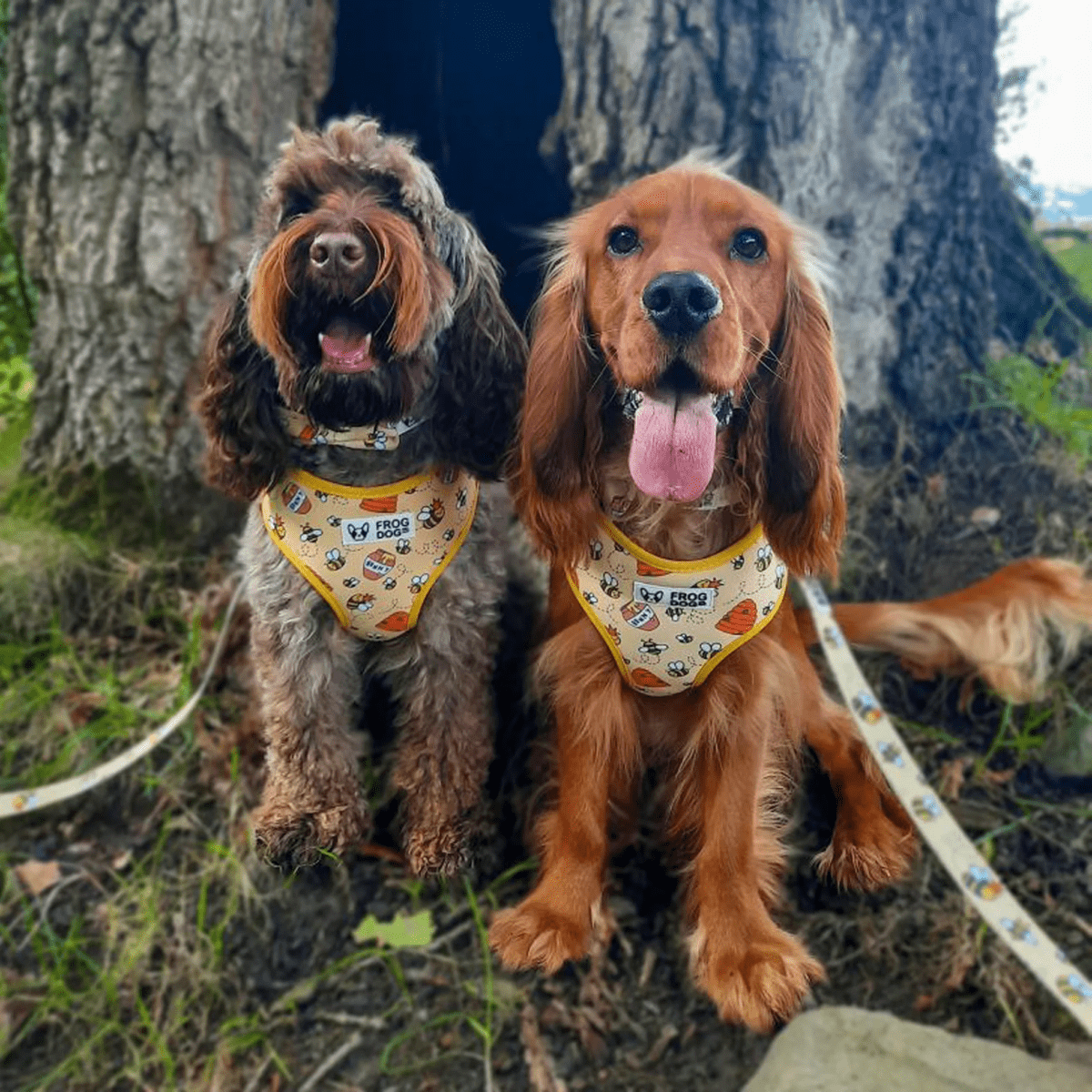 INSTANT WIN - 10p HARNESS BONANZA! - Image 36