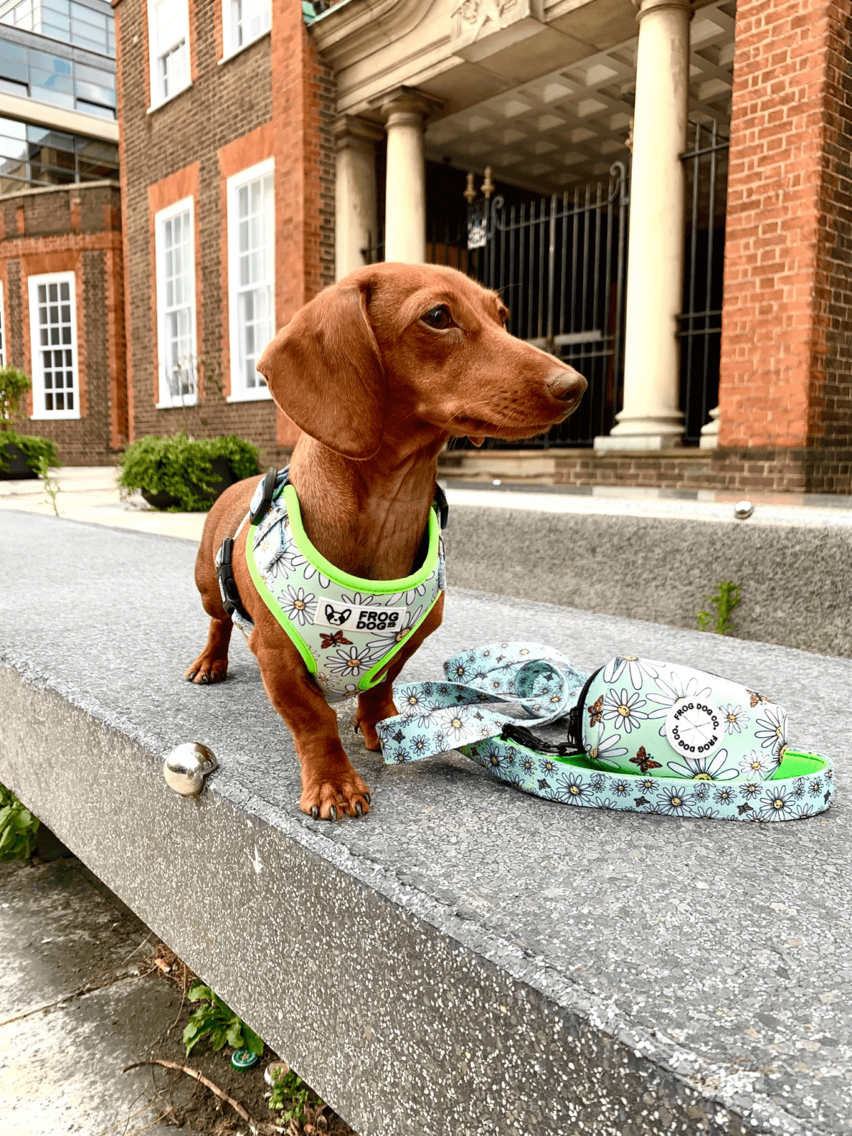INSTANT WIN - 10p HARNESS BONANZA! - Image 26