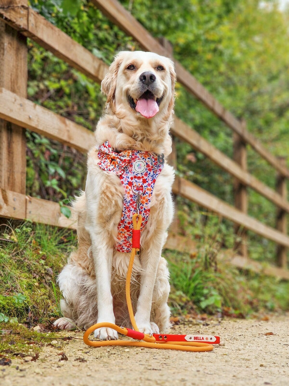 INSTANT WIN - 10p HARNESS BONANZA! - Image 53