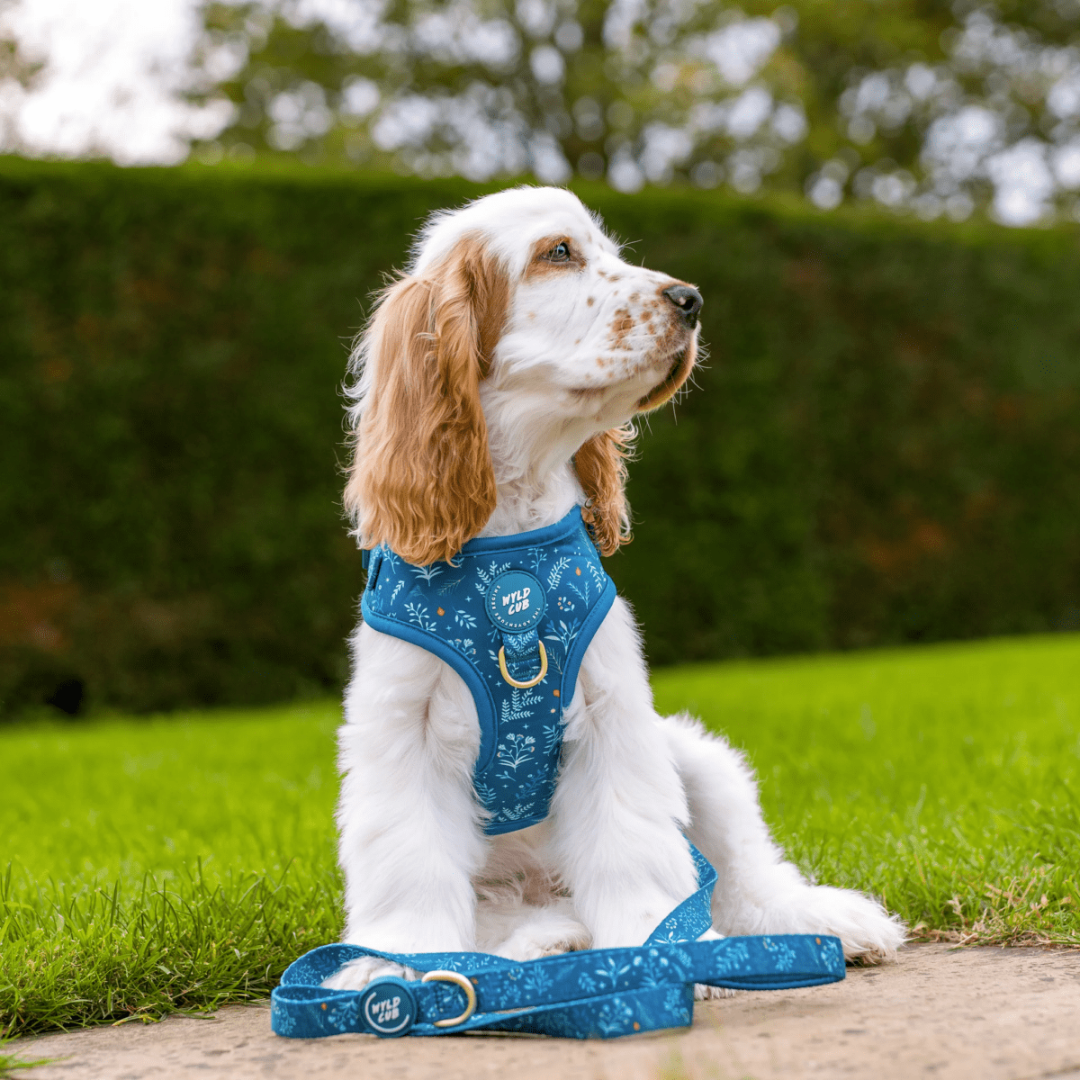 INSTANT WIN - 10p HARNESS BONANZA! - Image 55