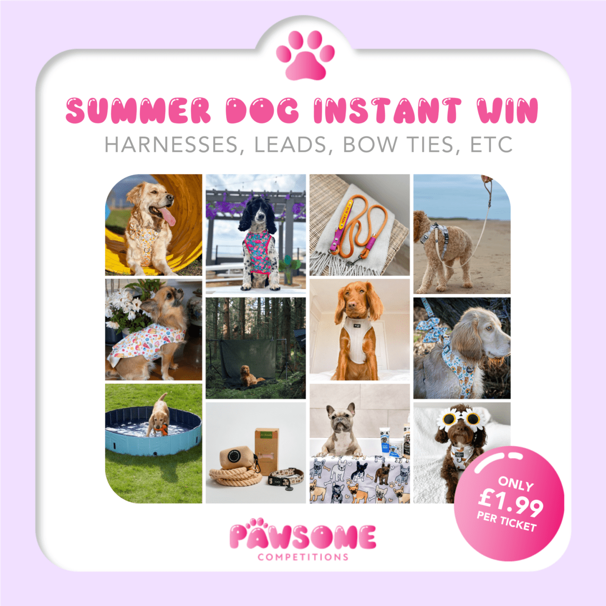 INSTANT WIN - SUMMER DOGGO ☀️