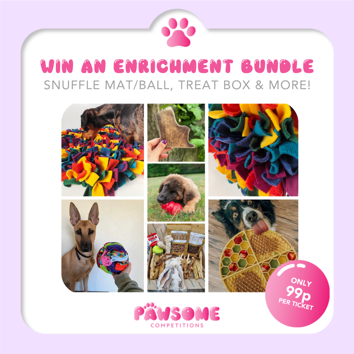 WIN An Enrichment Bundle