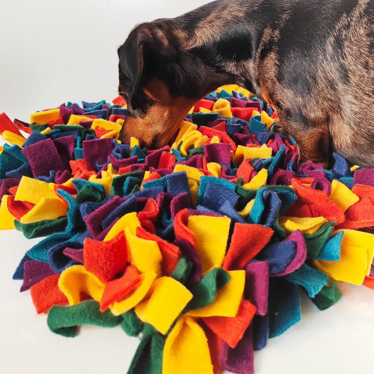 WIN An Enrichment Bundle - Image 7