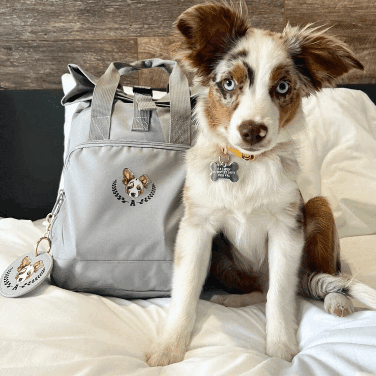 WIN A Personalised Dog Bundle - Image 2