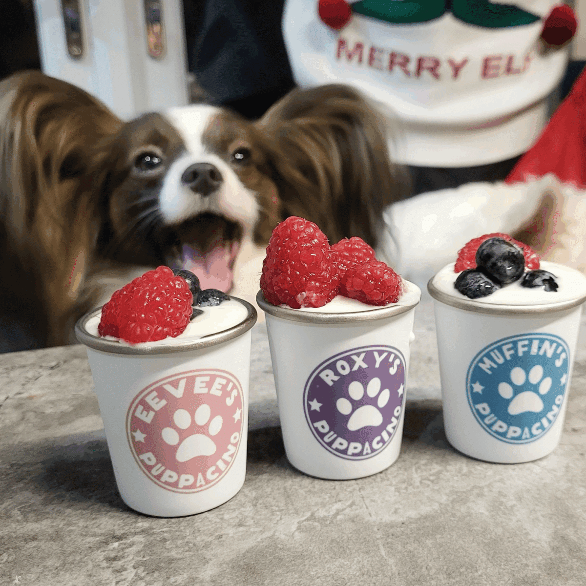 WIN A Personalised Dog Bundle - Image 4