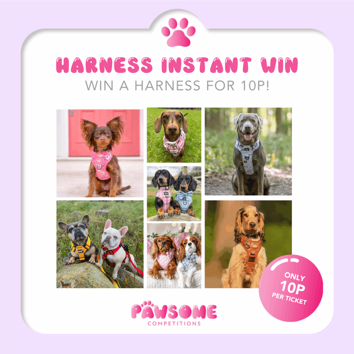 INSTANT WIN - 10p HARNESS BONANZA!