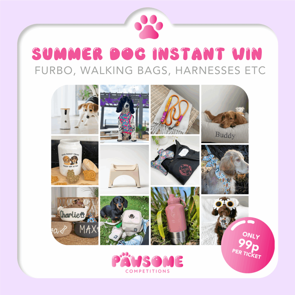 INSTANT WIN - SUMMER DOGGO (£200 Pets At Home Sell Out Prize!)