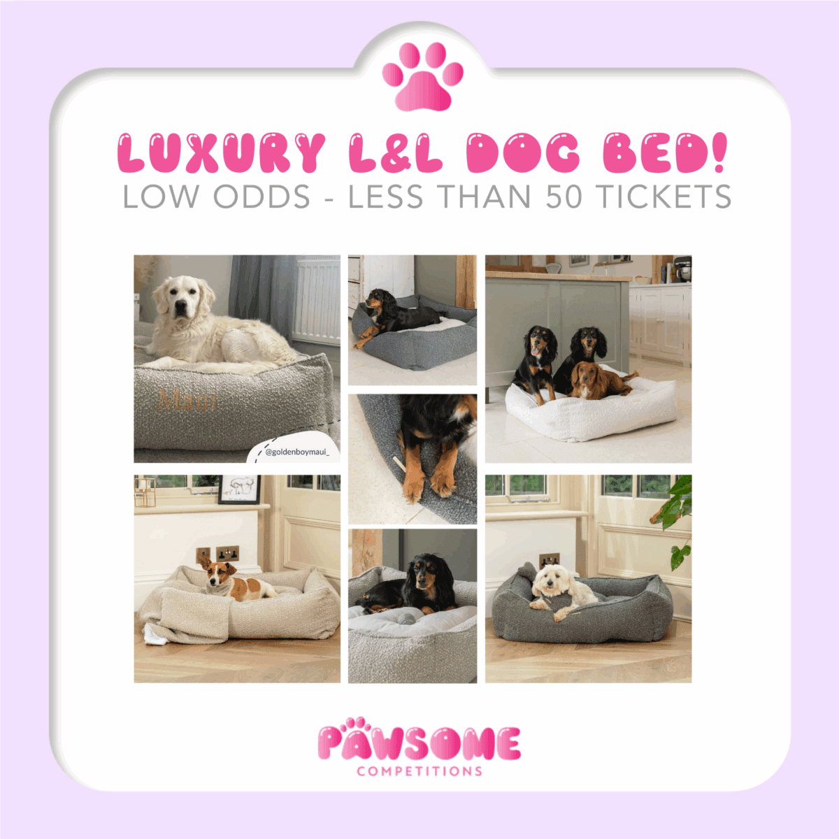 Luxury Lords & Labradors Personalised Box Bed (LOW ODDS)