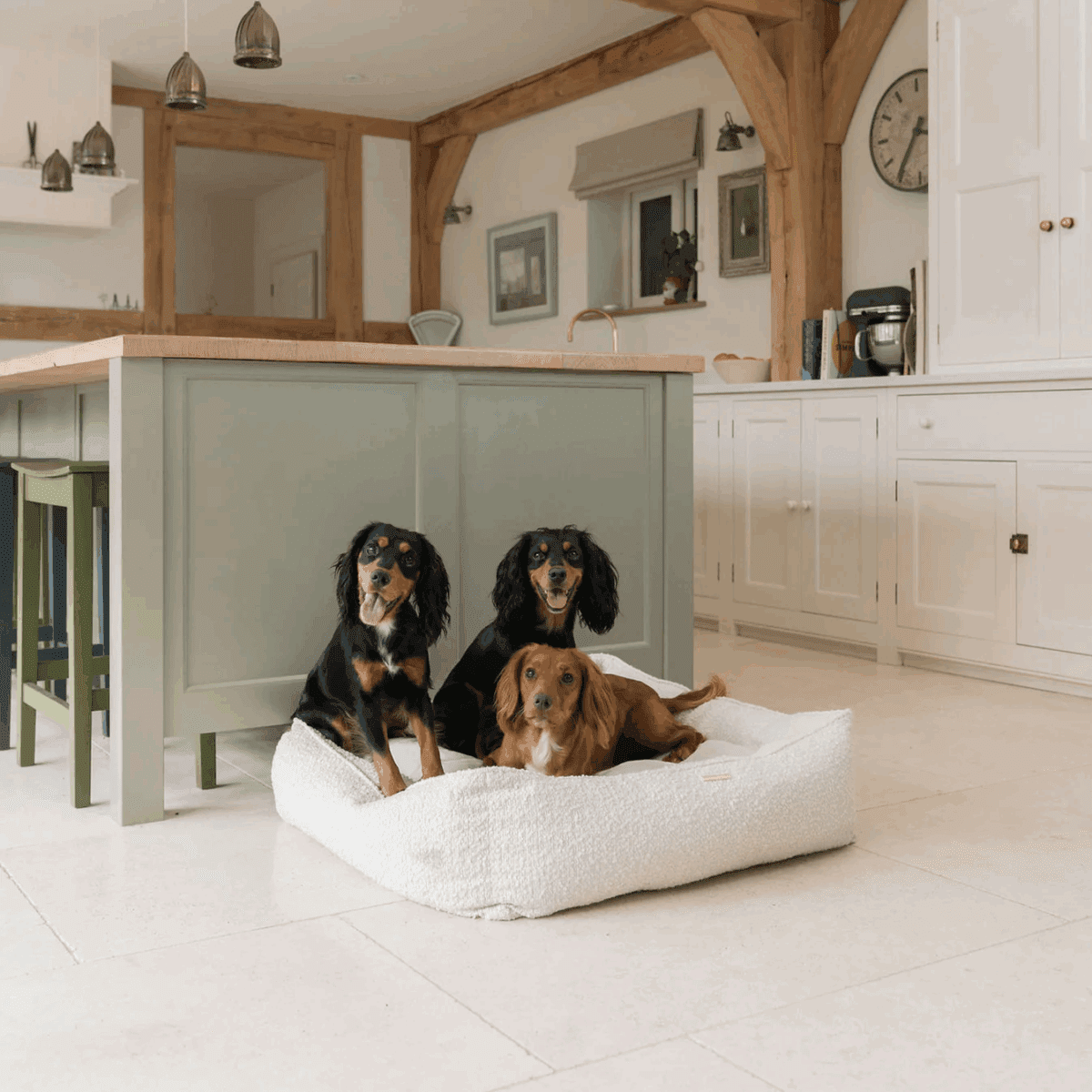 Luxury Lords & Labradors Personalised Box Bed (LOW ODDS) - Image 2