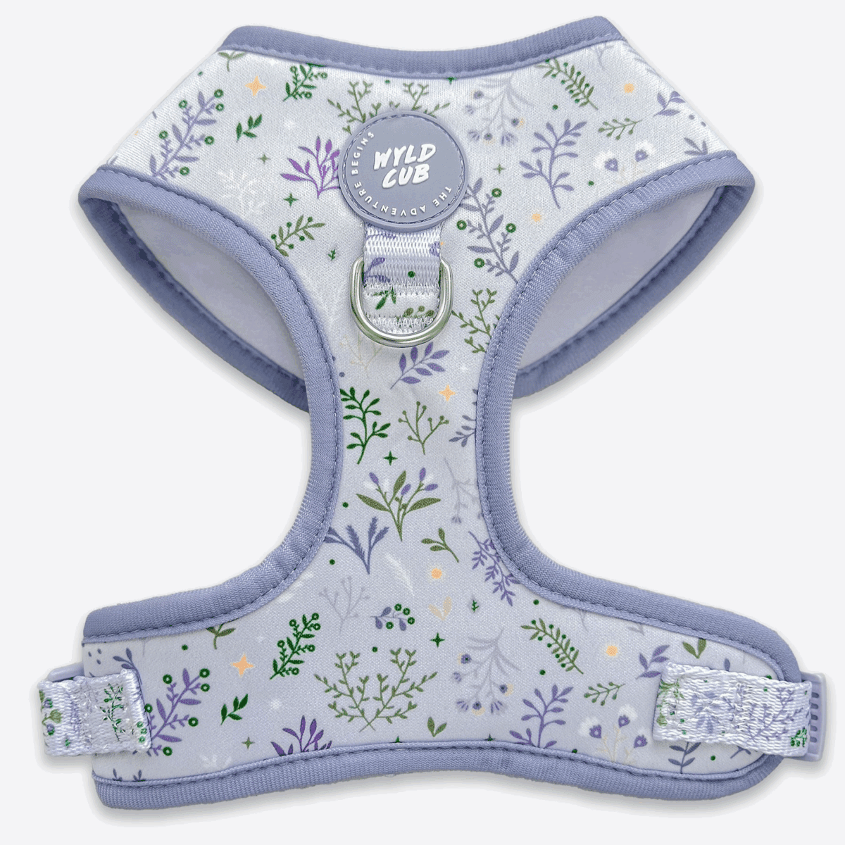 INSTANT WIN - PAWFECT DOG SUMMER PICKS - Image 4