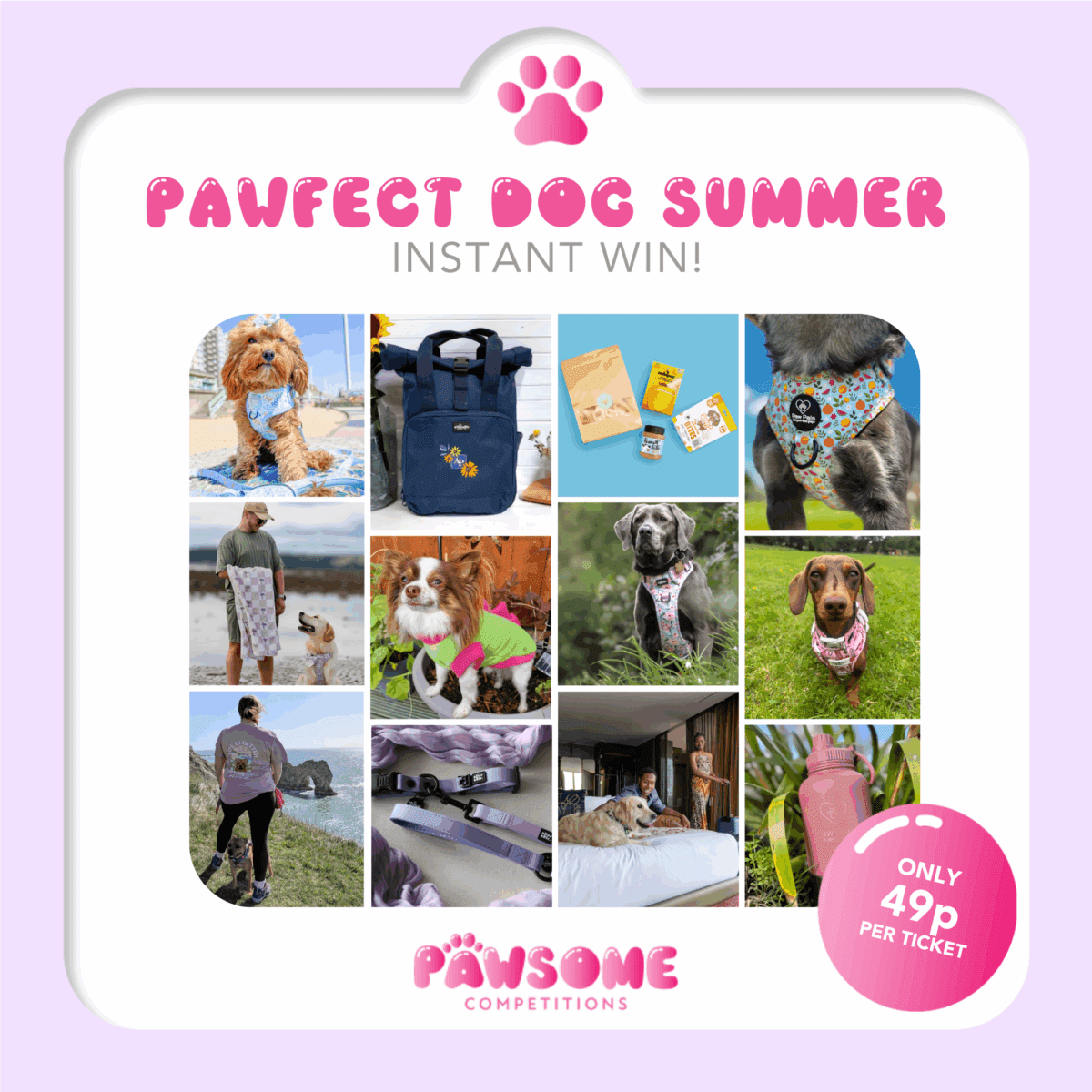 INSTANT WIN - PAWFECT DOG SUMMER PICKS