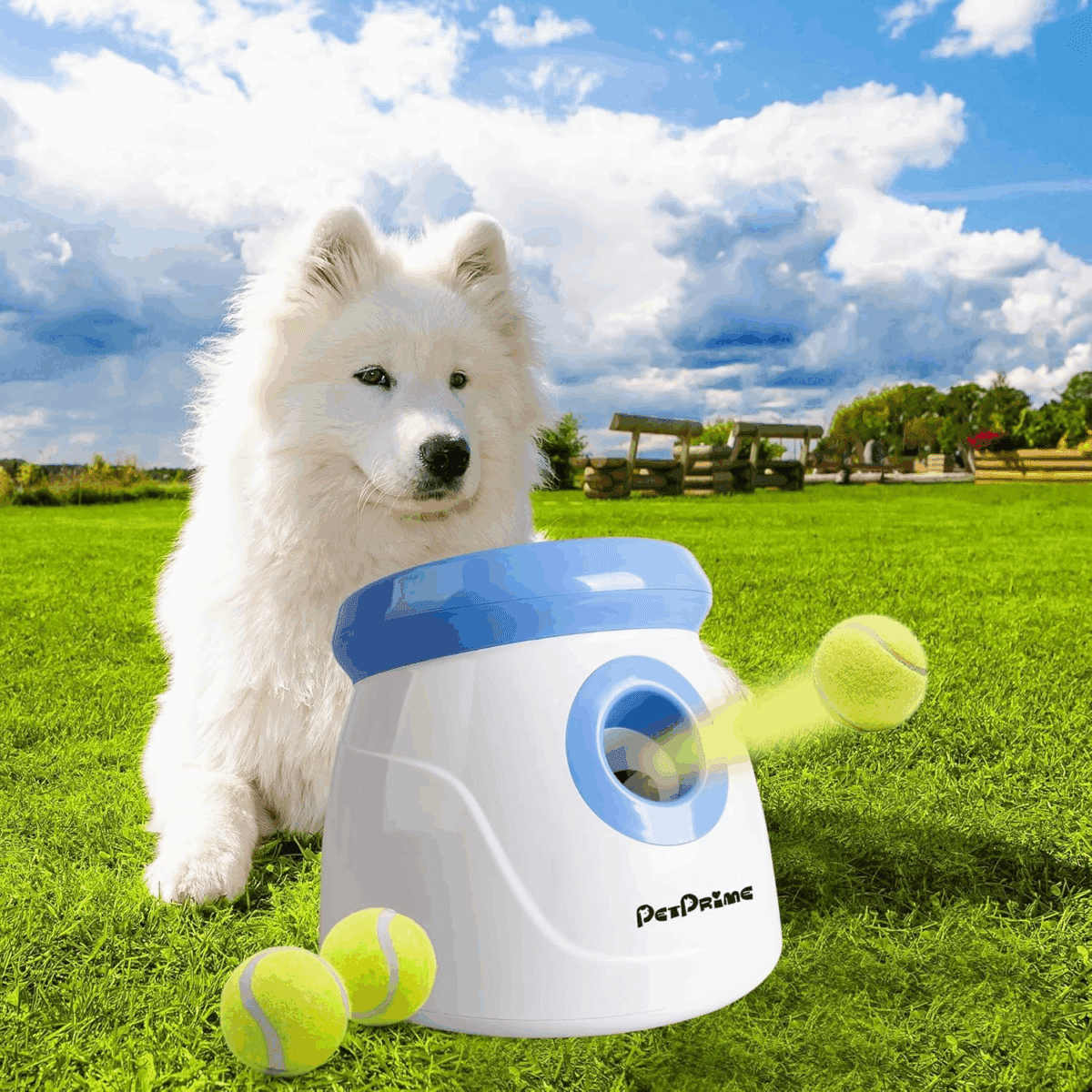 INSTANT WIN - DOG MUM ESSENTIALS 🐶👧🏼 - Image 13