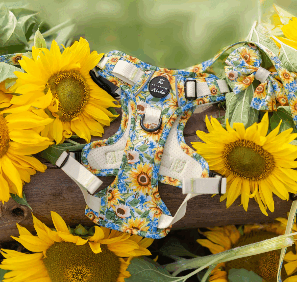 INSTANT WIN - 19p HARNESS - Small business only! - Image 15
