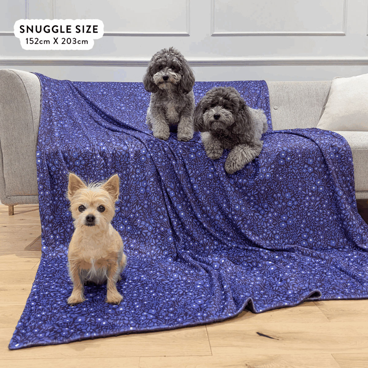 INSTANT WIN - COSY PAWS 🐾 - Image 12