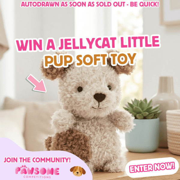 AUTODRAW – WIN A Jellycat Little Pup Soft Toy✨