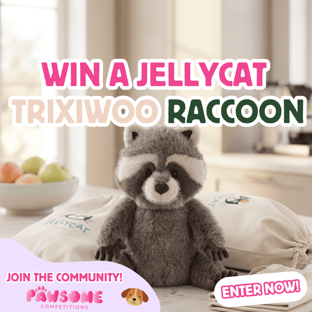 WIN A Jellycat Trixiwoo Raccoon✨