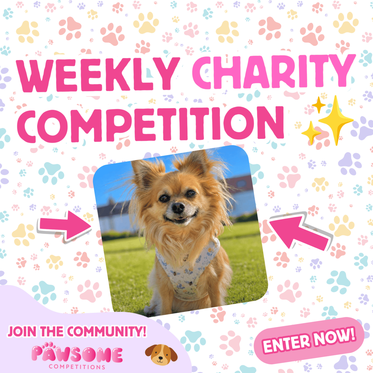 Weekly Small Business Charity Competition ✨