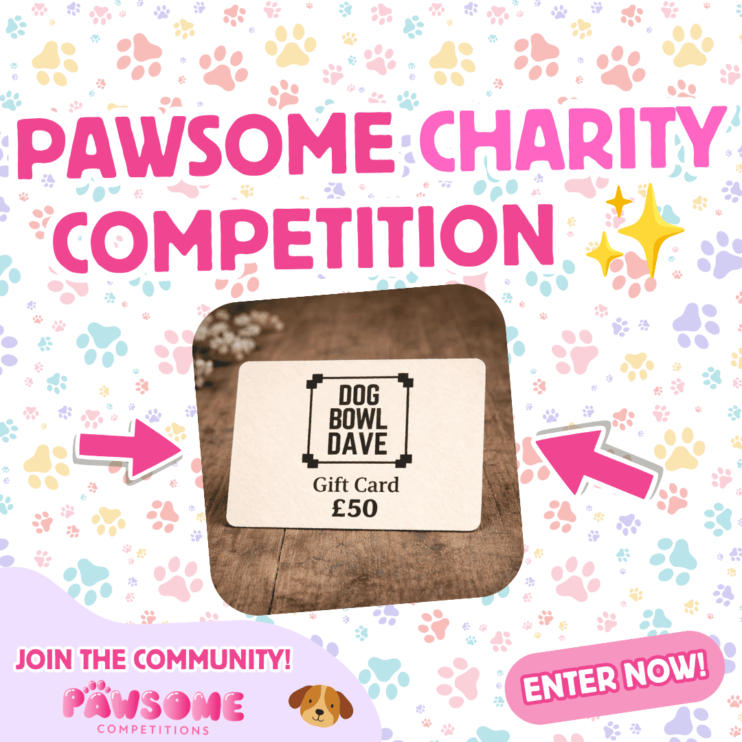 Small Business Charity Competition ✨