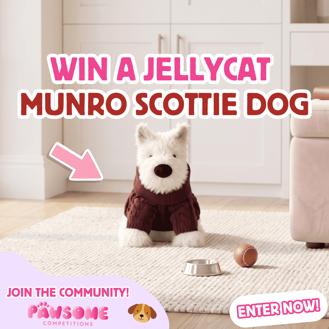 Win a Jellycat Munro Scottie Dog 🐕