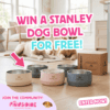 FREE ENTRY – Stanley Dog Bowl